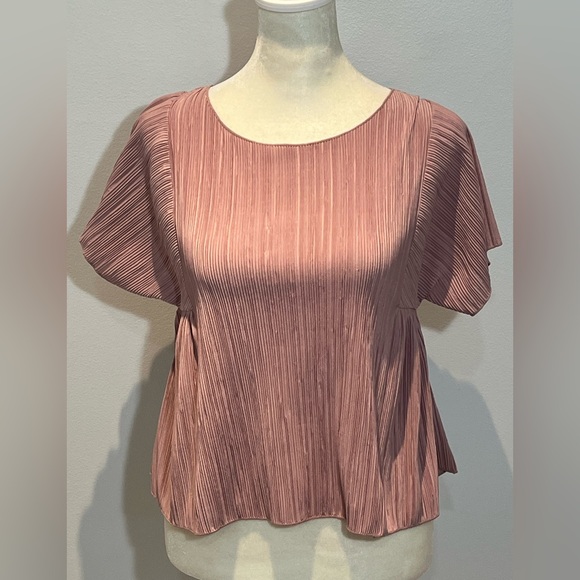 Madewell Texture And Thread Micropleat Top short sleeve Sz XXS Light Dusty Pink - Picture 5 of 13